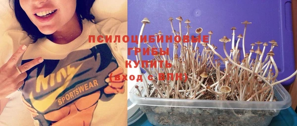а пвп мука Алзамай