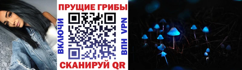 Псилоцибиновые грибы Magic Shrooms  гидра сайт  Можга 